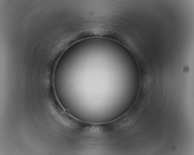 X0000112520639200908241445