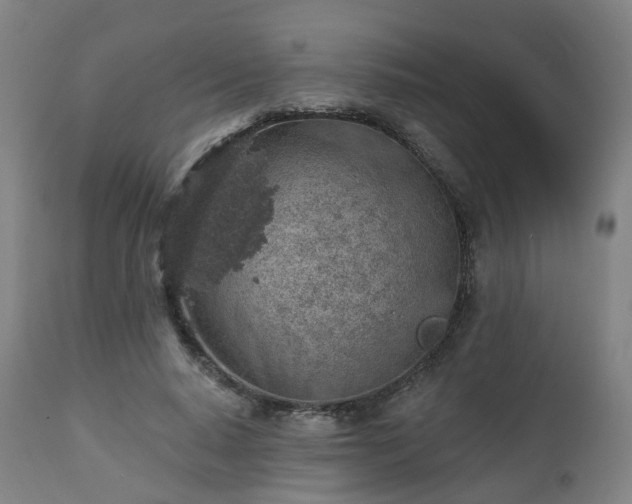 X0000112520640200908241445