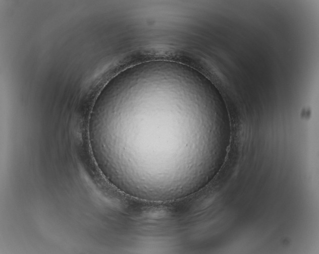 X0000112520643200908241445