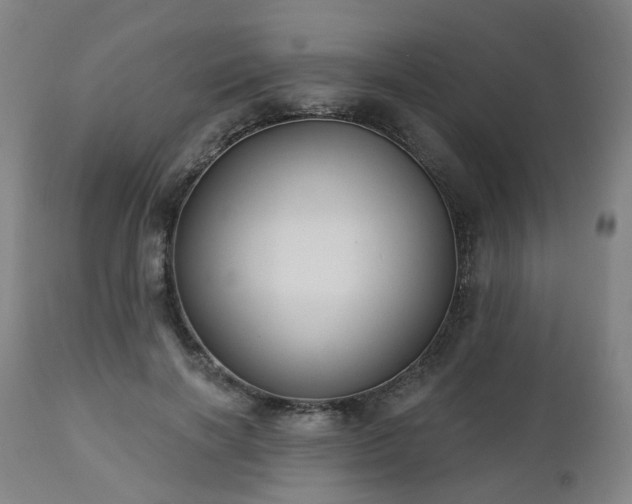 X0000112520646200908241445