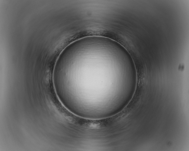 X0000112520647200908241445