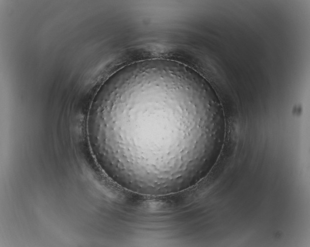 X0000112520650200908241445