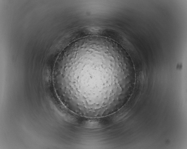 X0000112520651200908241445