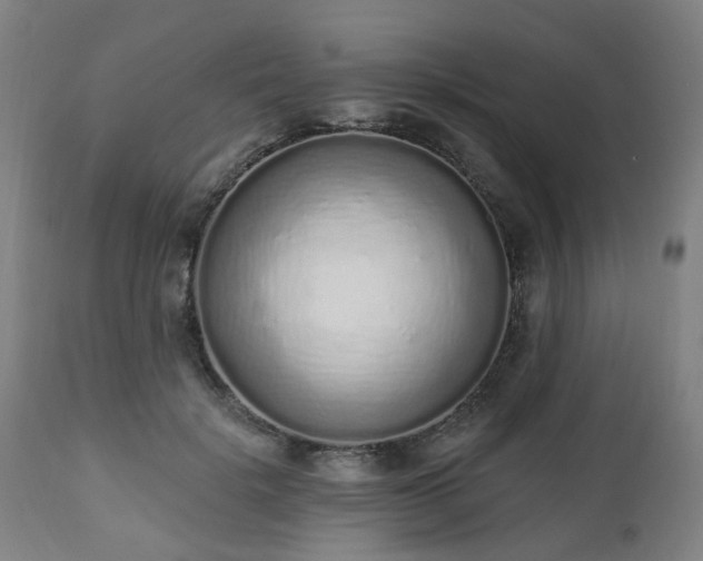 X0000112520652200908241445