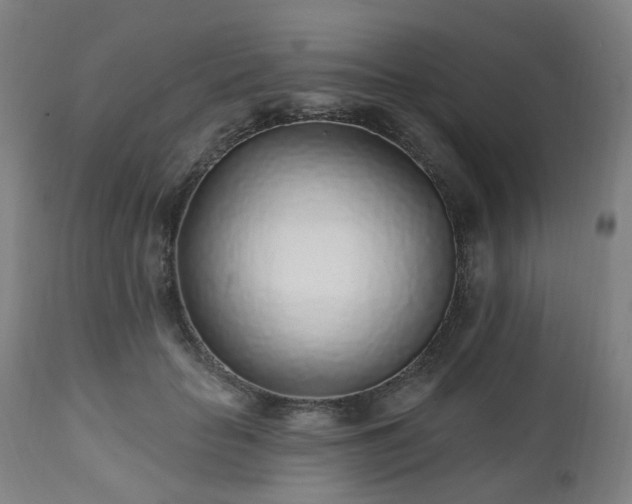 X0000112520653200908241445