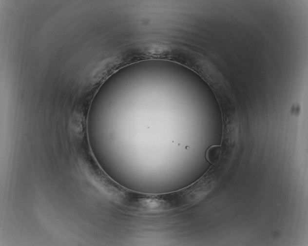X0000112520654200908241445