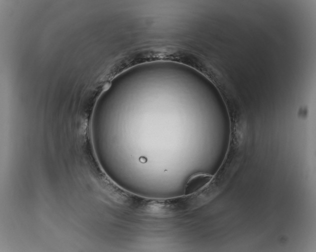 X0000112520657200908241446