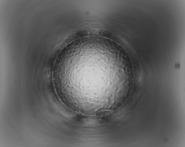 X0000112520661200908241446