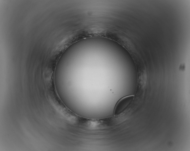 X0000112520662200908241446