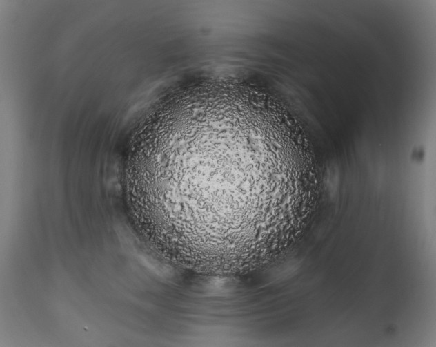 X0000112520663200908241446