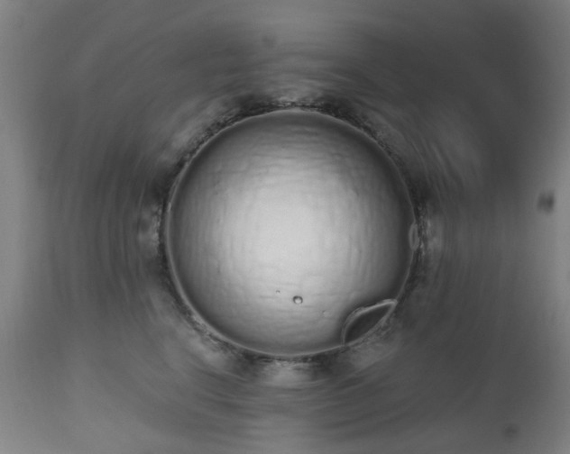 X0000112520664200908241446