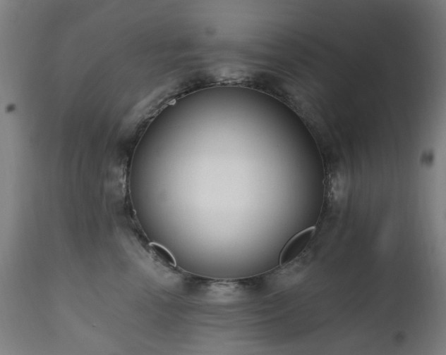 X0000112520666200908241446