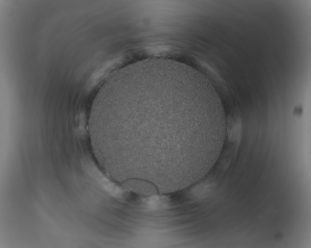 X0000112520670200908241446