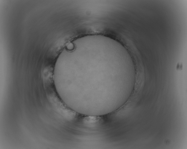 X0000112520672200908241446
