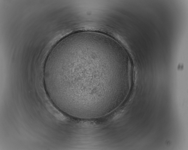 X0000112520673200908241445