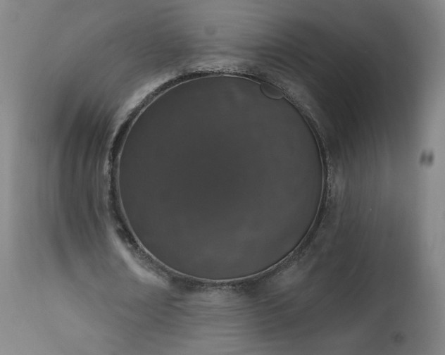 X0000112520674200908241445