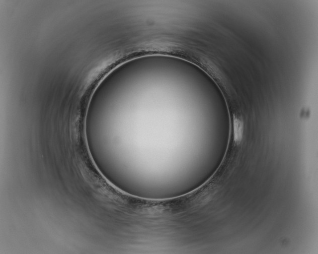 X0000112520675200908241445