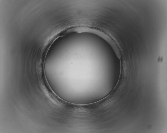 X0000112520677200908241445