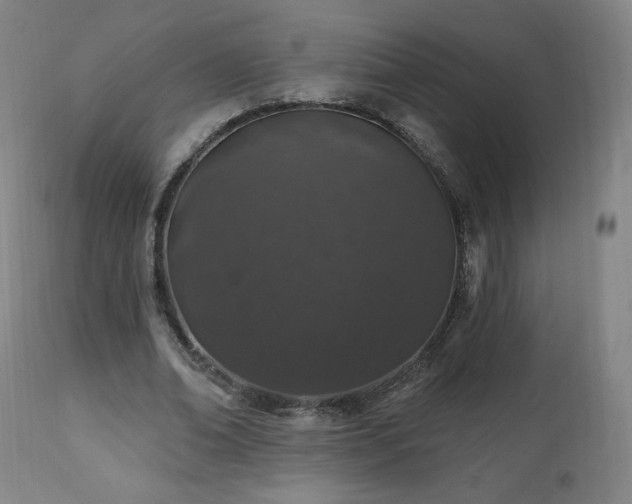 X0000112520678200908241445