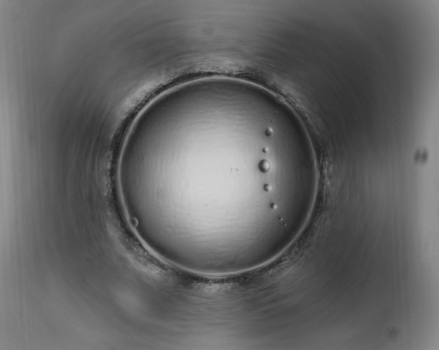 X0000112520679200908241445