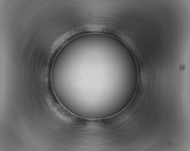 X0000112520682200908241445