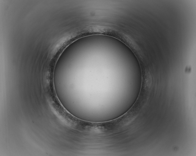 X0000112520683200908241445