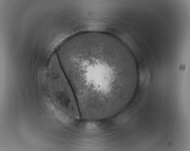 X0000112520684200908241445