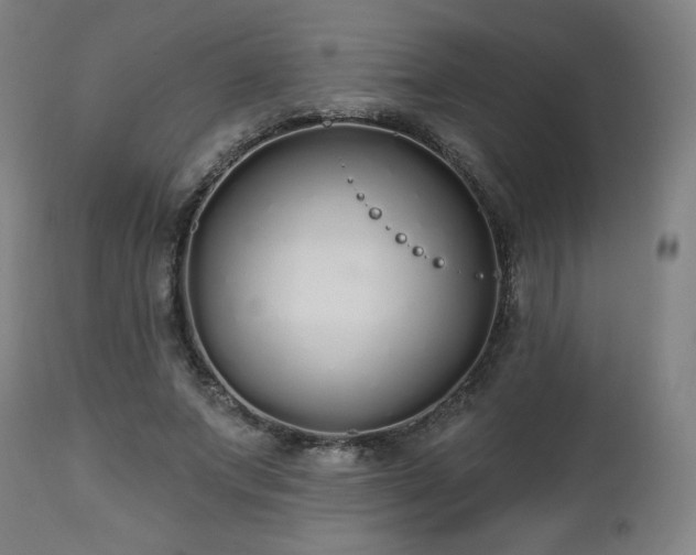 X0000112520687200908241445