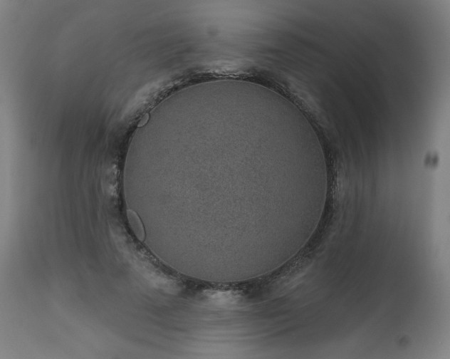 X0000112520689200908241445