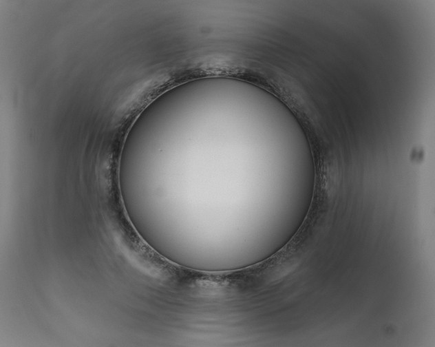 X0000112520690200908241445