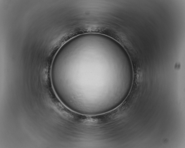 X0000112520691200908241445
