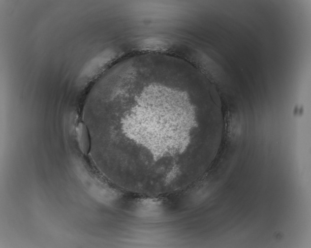 X0000112520692200908241445