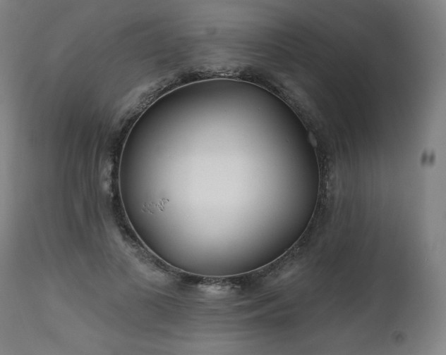 X0000112520693200908241445
