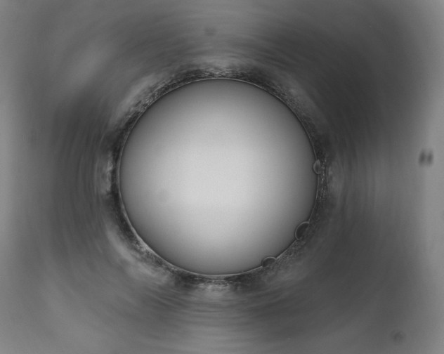 X0000112520694200908241445