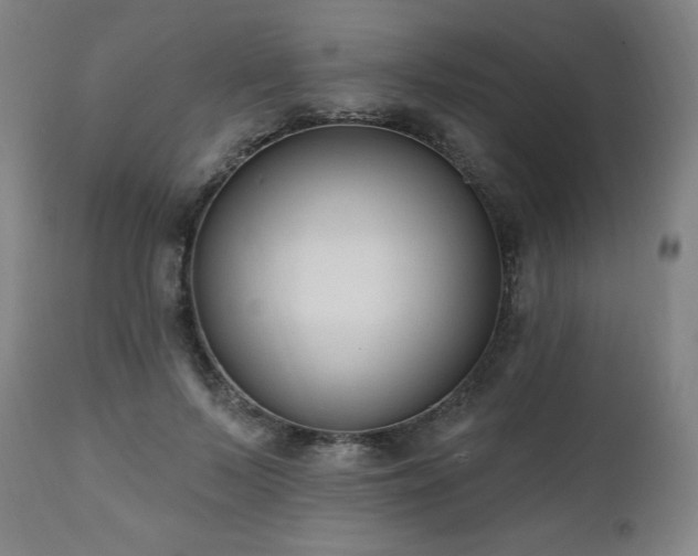 X0000112520695200908241445