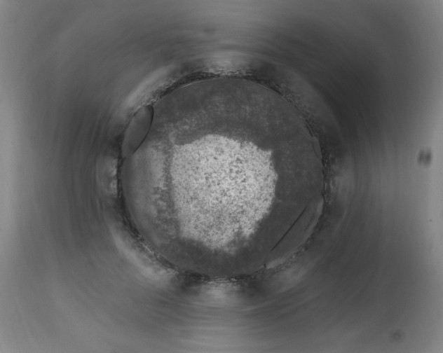 X0000112520696200908241445