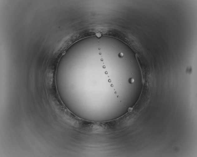 X0000112520697200908241445