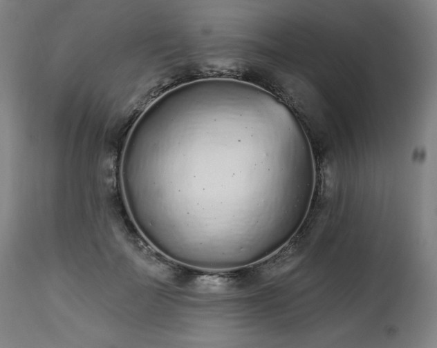 X0000112520699200908241445