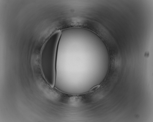 X0000112520700200908241445