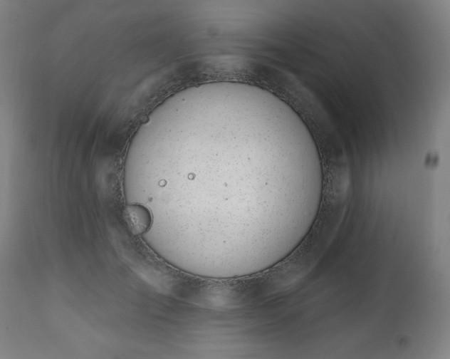 X0000112520701200908241445
