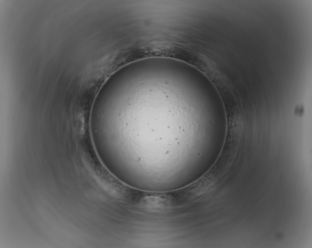 X0000112520703200908241445