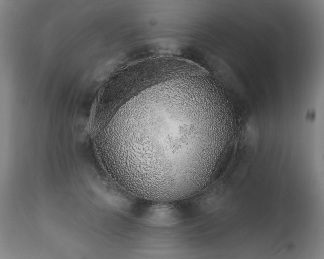 X0000112520704200908241445