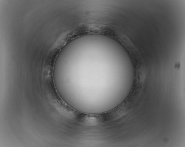 X0000112520706200908241445