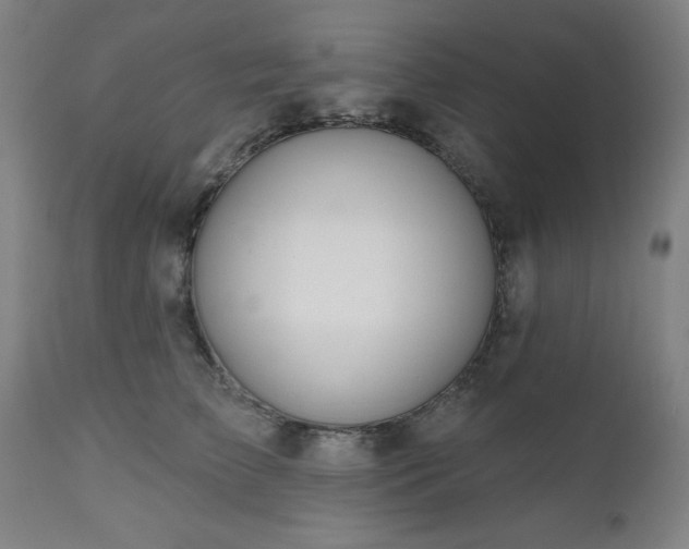 X0000112520709200908241445