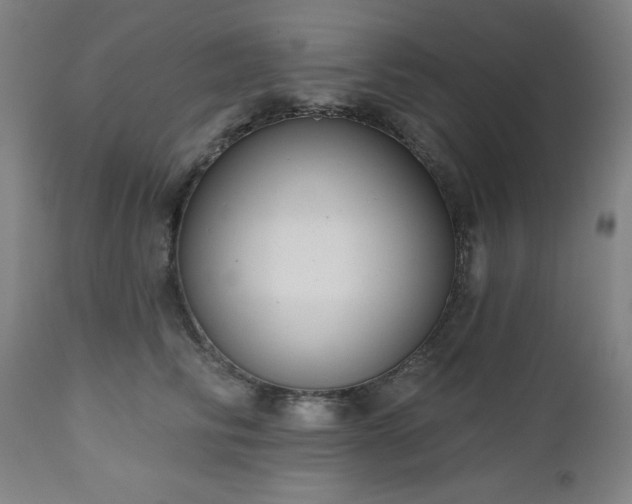 X0000112520710200908241445