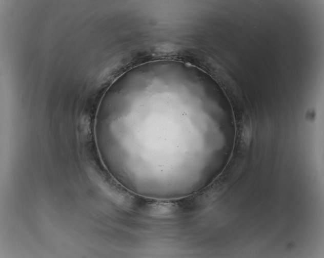 X0000112520711200908241445