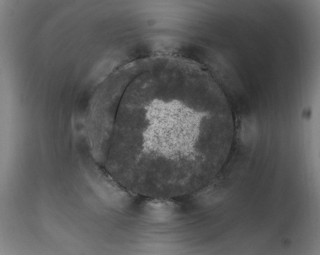 X0000112520712200908241445