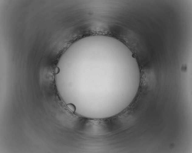 X0000112520713200908241444