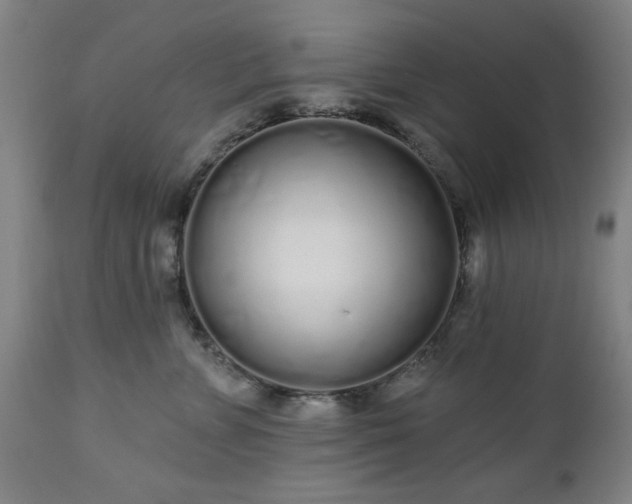 X0000112520715200908241444