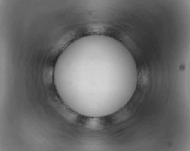 X0000112520717200908241444